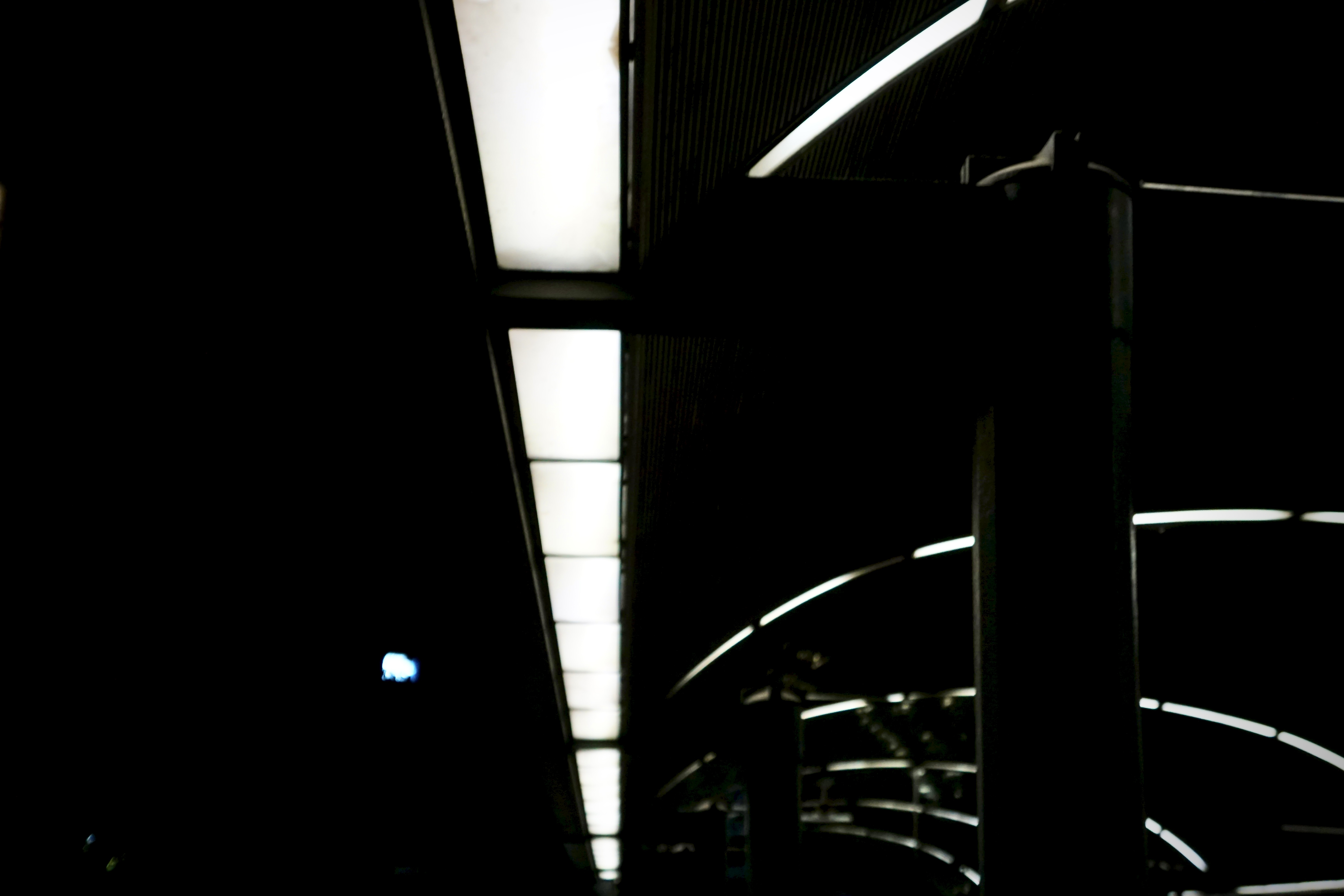 Where the Light Waits